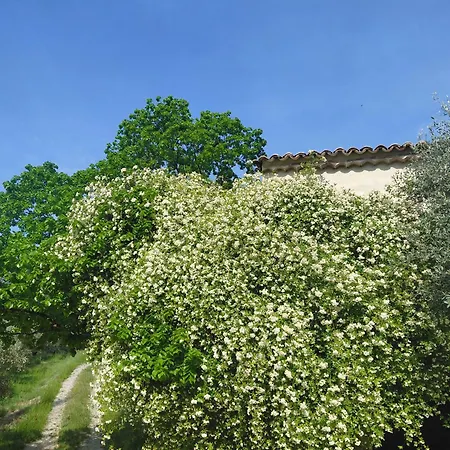La Maisonnette Veyronne - Neuf Сasa de vacaciones