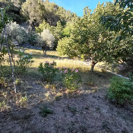 Nyaraló La Maisonnette Veyronne - Neuf *
